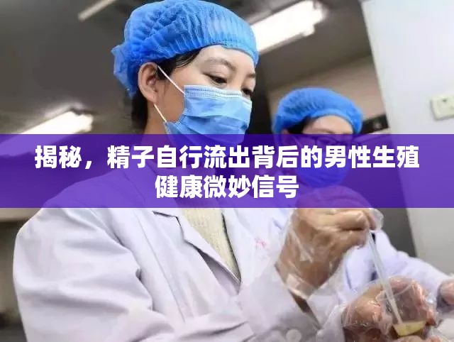 揭秘，精子自行流出背后的男性生殖健康微妙信號(hào)