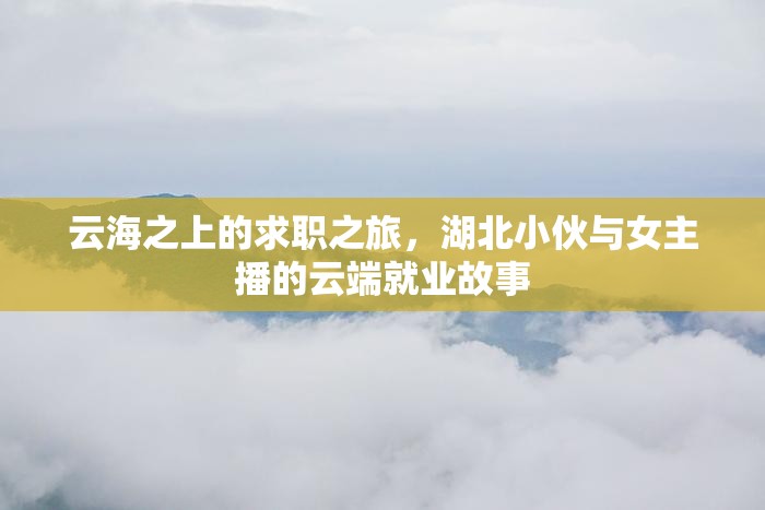 云海之上的求職之旅，湖北小伙與女主播的云端就業(yè)故事