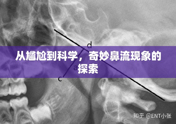 從尷尬到科學(xué)，奇妙鼻流現(xiàn)象的探索