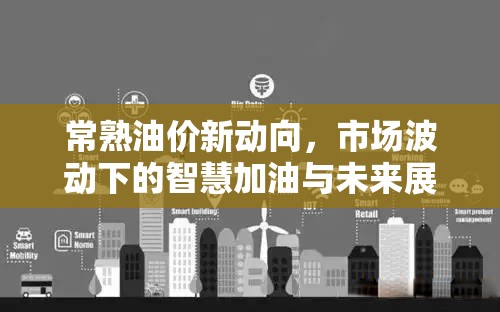常熟油價新動向，市場波動下的智慧加油與未來展望