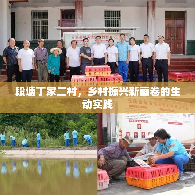 段塘丁家二村，鄉(xiāng)村振興新畫卷的生動(dòng)實(shí)踐