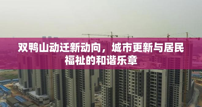 雙鴨山動(dòng)遷新動(dòng)向，城市更新與居民福祉的和諧樂章