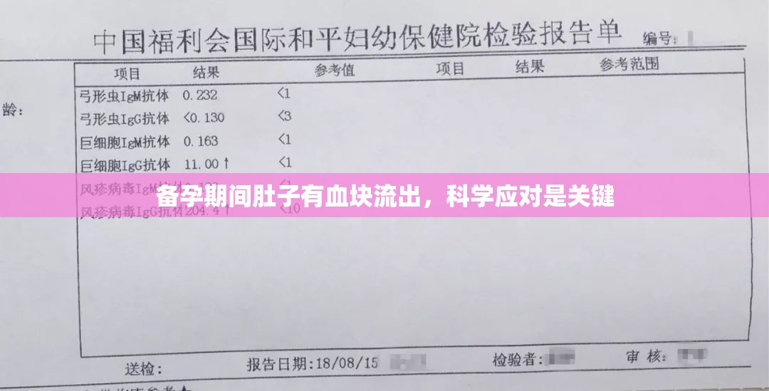 備孕期間肚子有血塊流出，科學(xué)應(yīng)對(duì)是關(guān)鍵