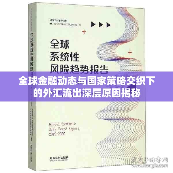 全球金融動態(tài)與國家策略交織下的外匯流出深層原因揭秘