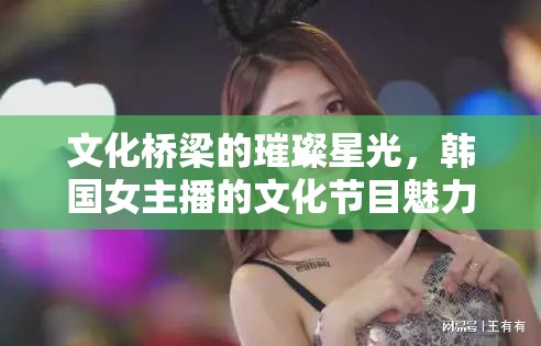 文化橋梁的璀璨星光，韓國女主播的文化節(jié)目魅力探索