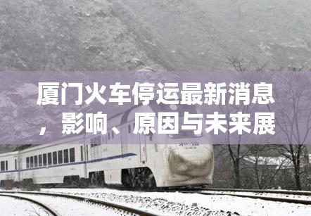 廈門火車停運最新消息，影響、原因與未來展望