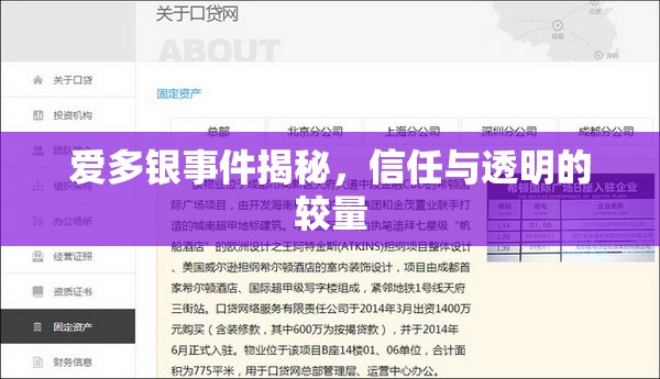 愛(ài)多銀事件揭秘，信任與透明的較量