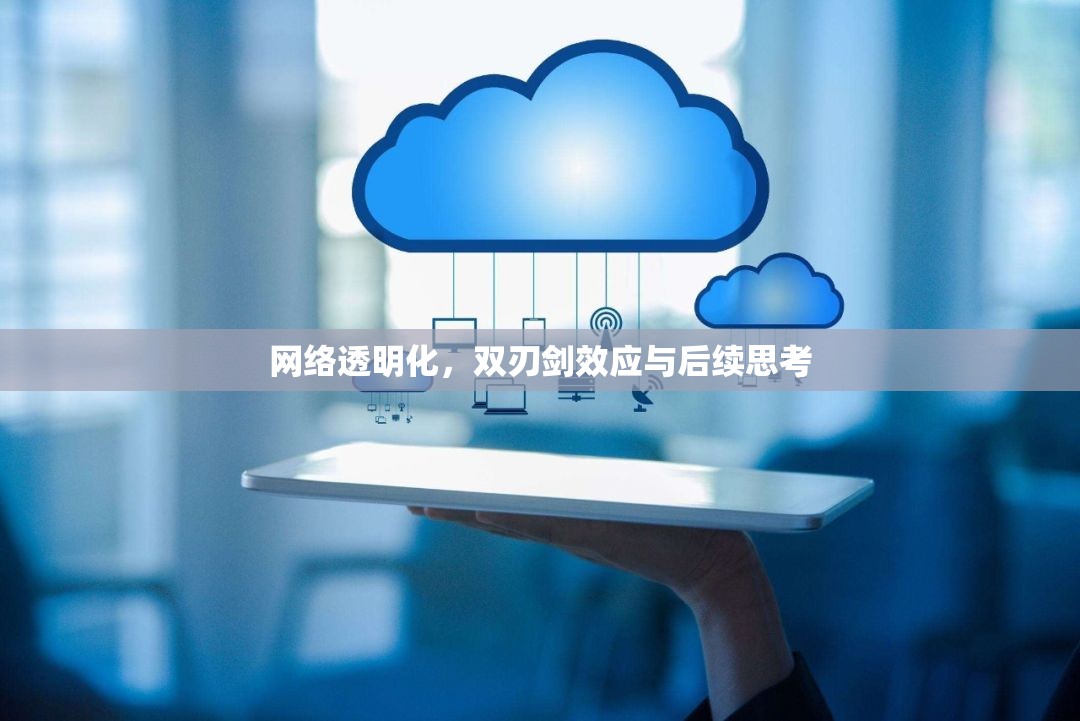 網(wǎng)絡(luò)透明化，雙刃劍效應(yīng)與后續(xù)思考