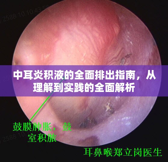 中耳炎積液的全面排出指南，從理解到實踐的全面解析