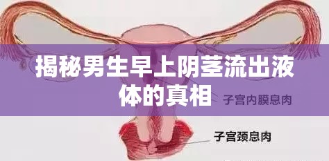 揭秘男生早上陰莖流出液體的真相