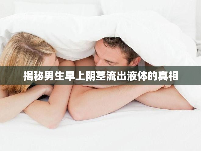揭秘男生早上陰莖流出液體的真相