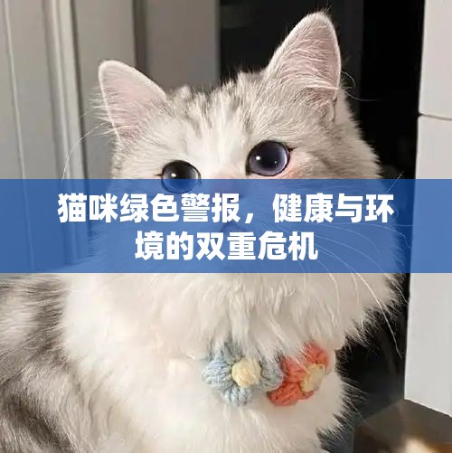 貓咪綠色警報(bào)，健康與環(huán)境的雙重危機(jī)