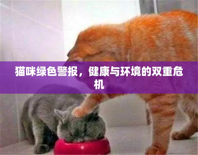 貓咪綠色警報(bào)，健康與環(huán)境的雙重危機(jī)
