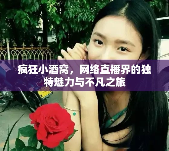 瘋狂小酒窩，網(wǎng)絡(luò)直播界的獨(dú)特魅力與不凡之旅