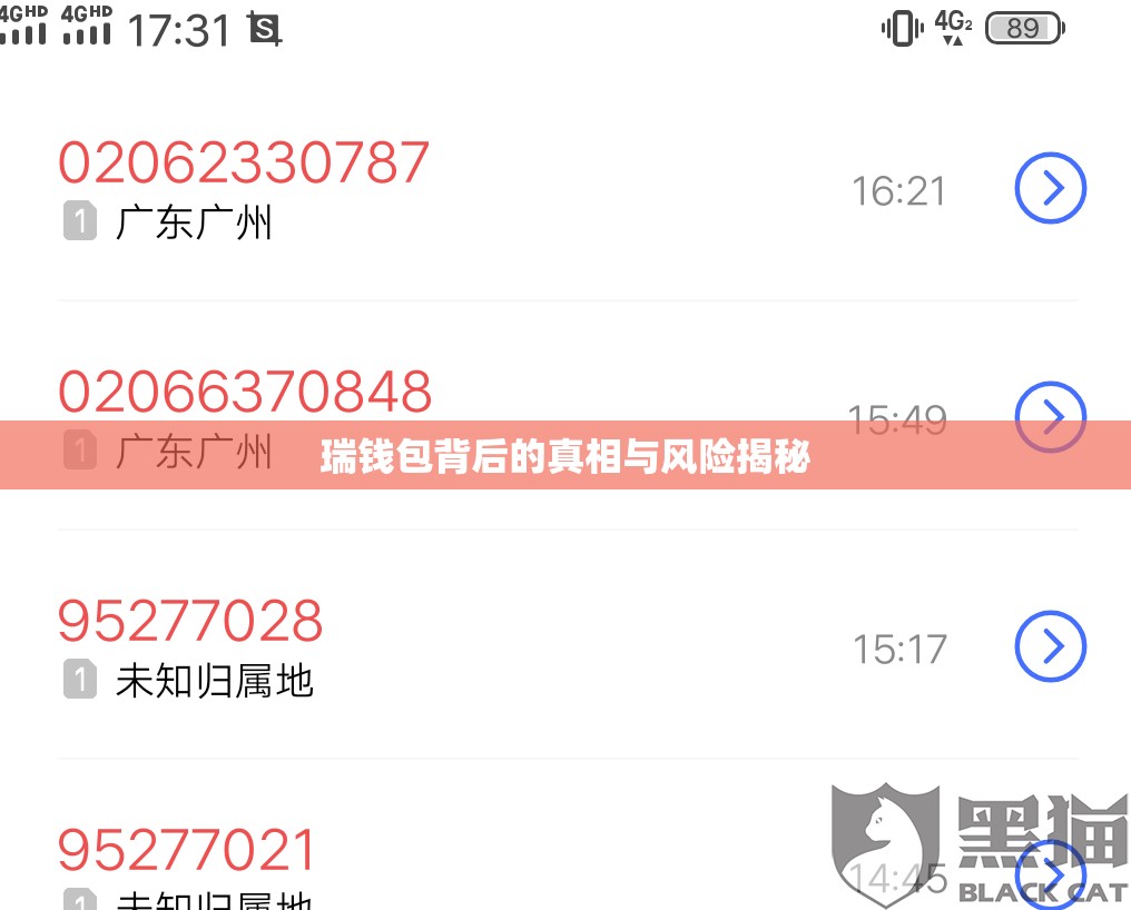 瑞錢包背后的真相與風險揭秘