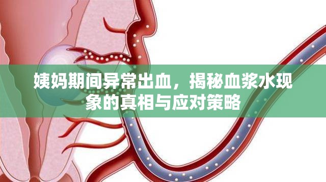 姨媽期間異常出血，揭秘血漿水現(xiàn)象的真相與應(yīng)對(duì)策略