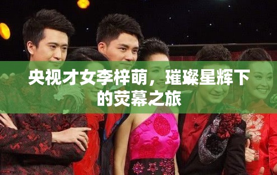 央視才女李梓萌，璀璨星輝下的熒幕之旅