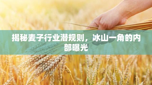 揭秘麥子行業(yè)潛規(guī)則，冰山一角的內(nèi)部曝光