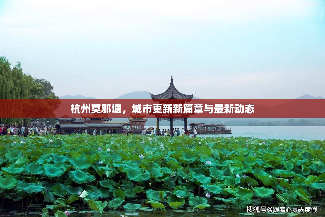 杭州莫邪塘，城市更新新篇章與最新動(dòng)態(tài)