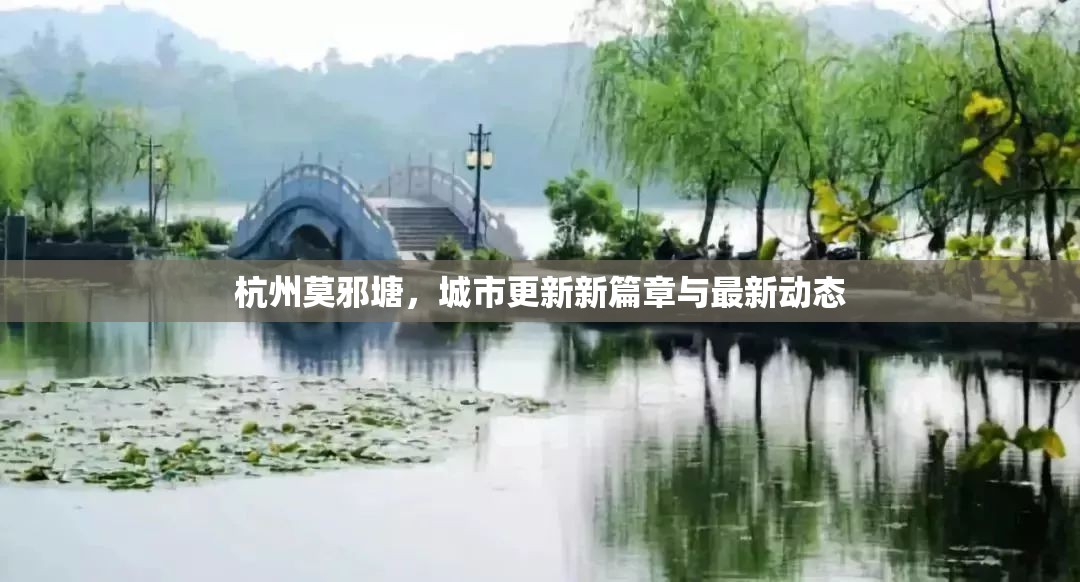 杭州莫邪塘，城市更新新篇章與最新動(dòng)態(tài)