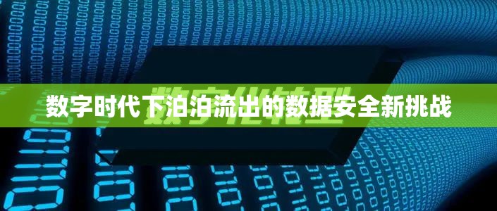 數(shù)字時代下泊泊流出的數(shù)據(jù)安全新挑戰(zhàn)