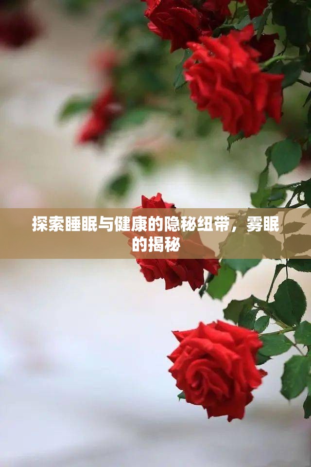 探索睡眠與健康的隱秘紐帶，霧眠的揭秘