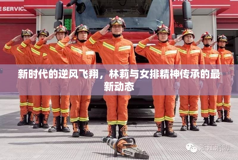 新時(shí)代的逆風(fēng)飛翔，林莉與女排精神傳承的最新動(dòng)態(tài)