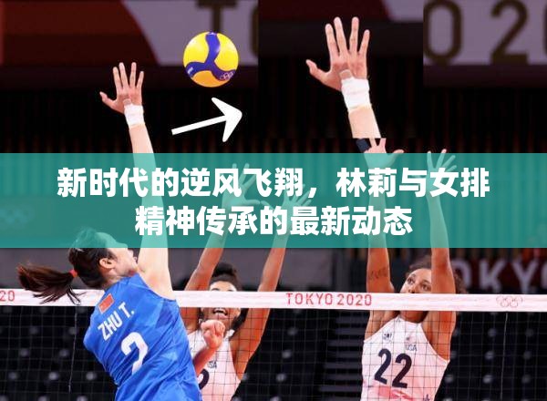 新時(shí)代的逆風(fēng)飛翔，林莉與女排精神傳承的最新動(dòng)態(tài)