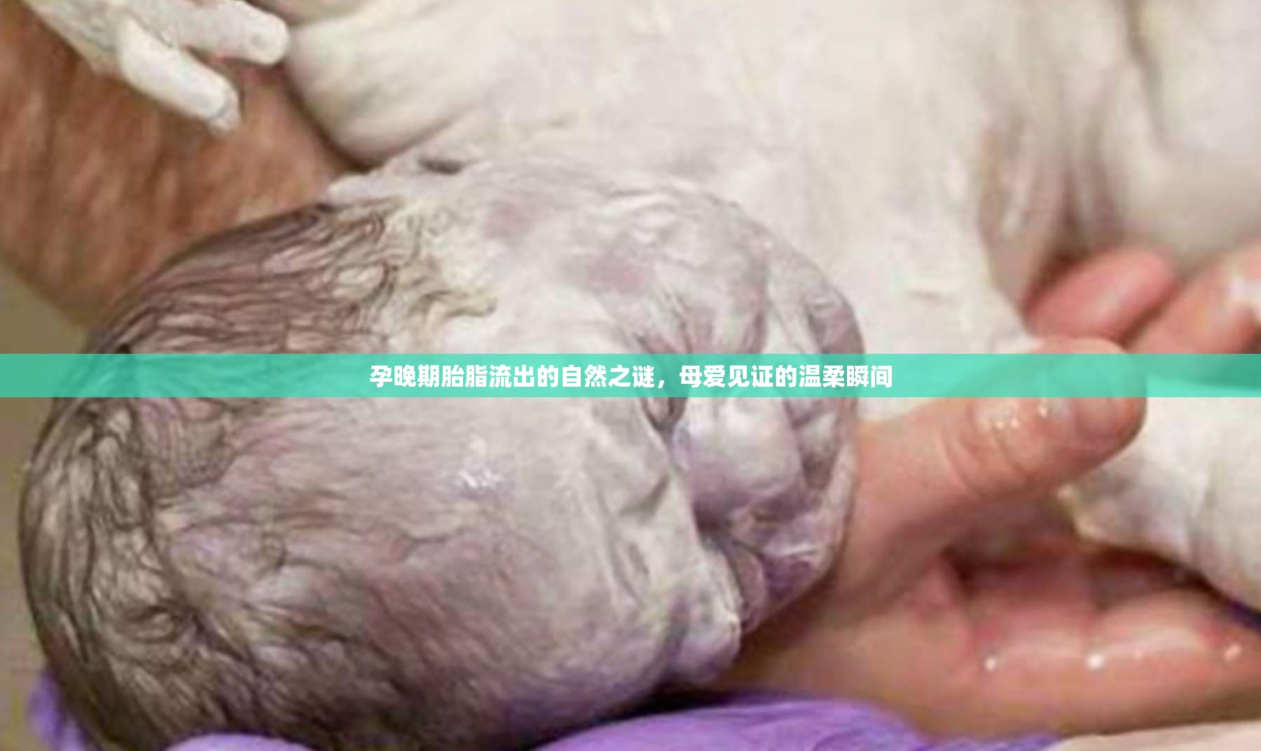 孕晚期胎脂流出的自然之謎，母愛(ài)見(jiàn)證的溫柔瞬間