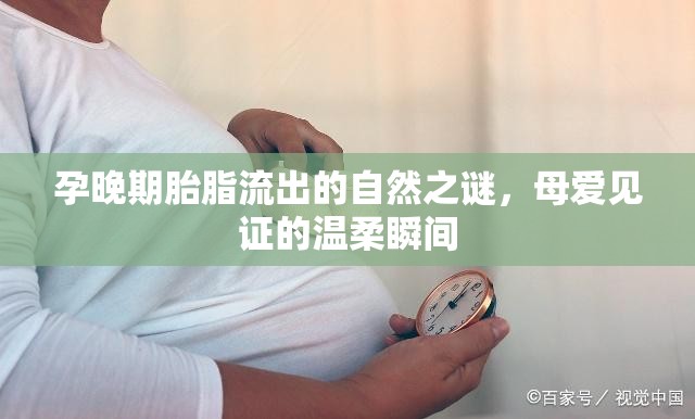 孕晚期胎脂流出的自然之謎，母愛(ài)見(jiàn)證的溫柔瞬間