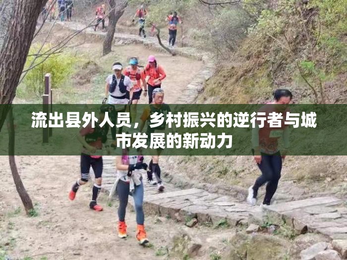 流出縣外人員，鄉(xiāng)村振興的逆行者與城市發(fā)展的新動力