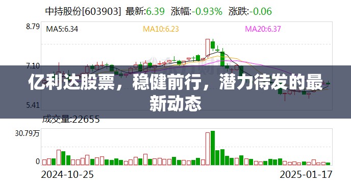 億利達股票，穩(wěn)健前行，潛力待發(fā)的最新動態(tài)