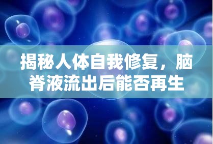 揭秘人體自我修復(fù)，腦脊液流出后能否再生？