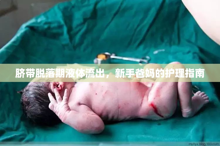 臍帶脫落期液體流出，新手爸媽的護(hù)理指南