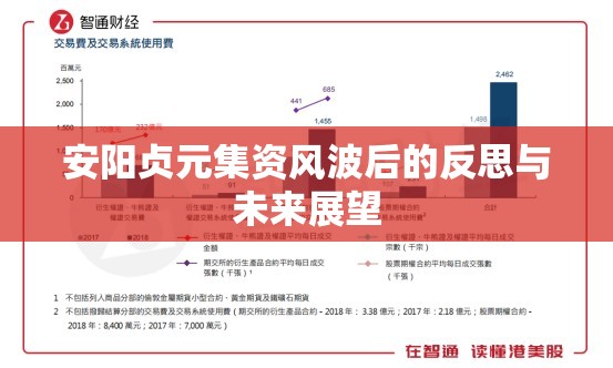 安陽貞元集資風波后的反思與未來展望