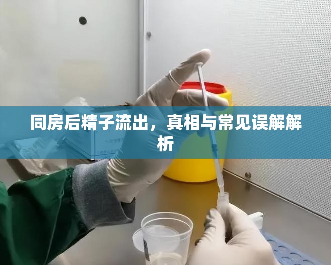 同房后精子流出，真相與常見誤解解析