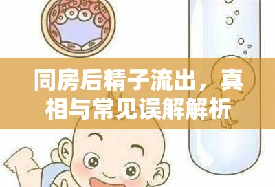 同房后精子流出，真相與常見誤解解析