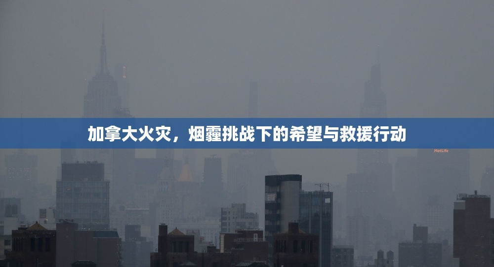 加拿大火災(zāi)，煙霾挑戰(zhàn)下的希望與救援行動