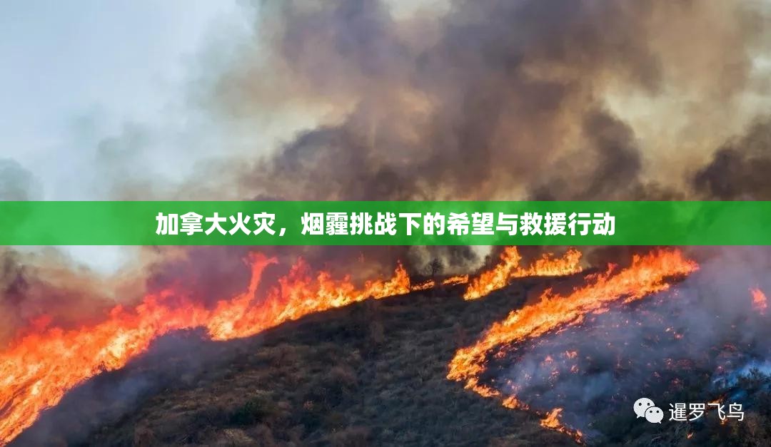 加拿大火災(zāi)，煙霾挑戰(zhàn)下的希望與救援行動