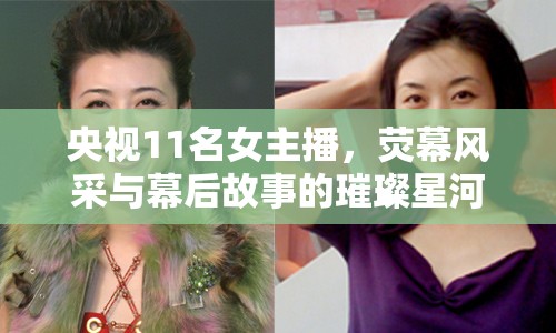 央視11名女主播，熒幕風(fēng)采與幕后故事的璀璨星河
