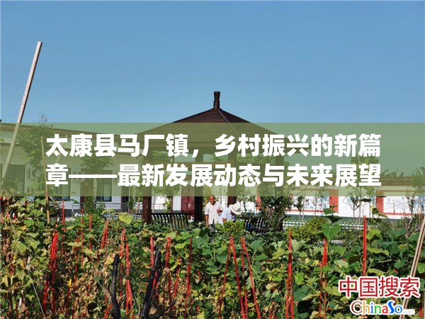 太康縣馬廠鎮(zhèn)，鄉(xiāng)村振興的新篇章——最新發(fā)展動態(tài)與未來展望