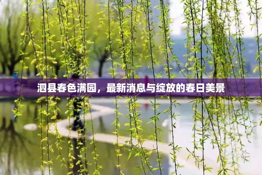 泗縣春色滿園，最新消息與綻放的春日美景