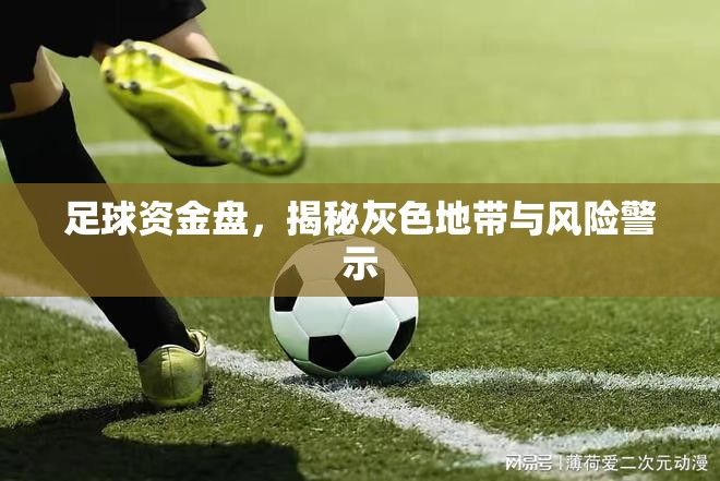 足球資金盤(pán)，揭秘灰色地帶與風(fēng)險(xiǎn)警示