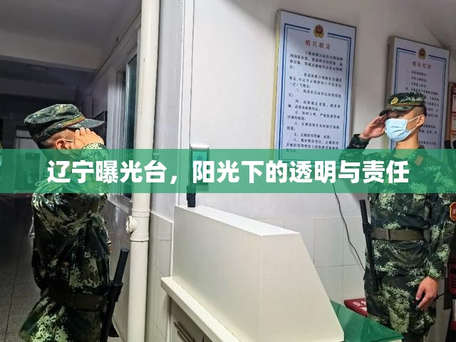 遼寧曝光臺，陽光下的透明與責(zé)任