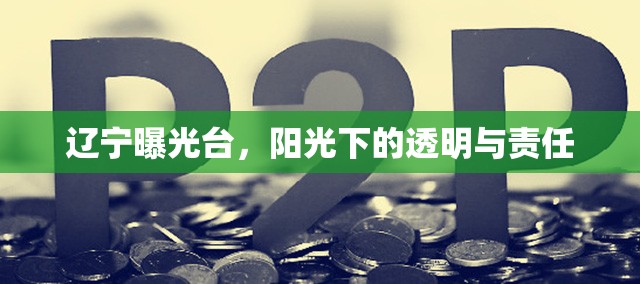 遼寧曝光臺，陽光下的透明與責(zé)任