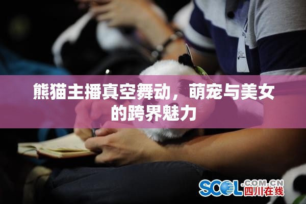 熊貓主播真空舞動，萌寵與美女的跨界魅力