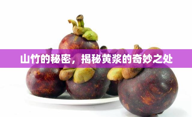 山竹的秘密，揭秘黃漿的奇妙之處
