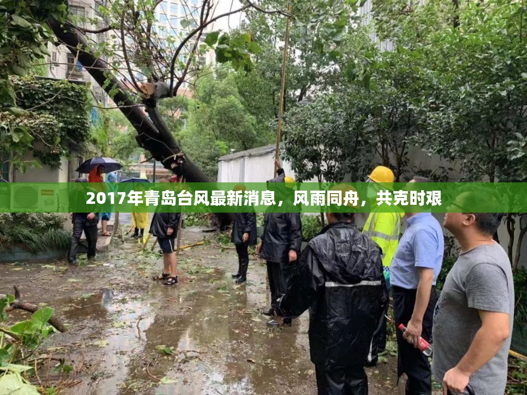 2017年青島臺(tái)風(fēng)最新消息，風(fēng)雨同舟，共克時(shí)艱