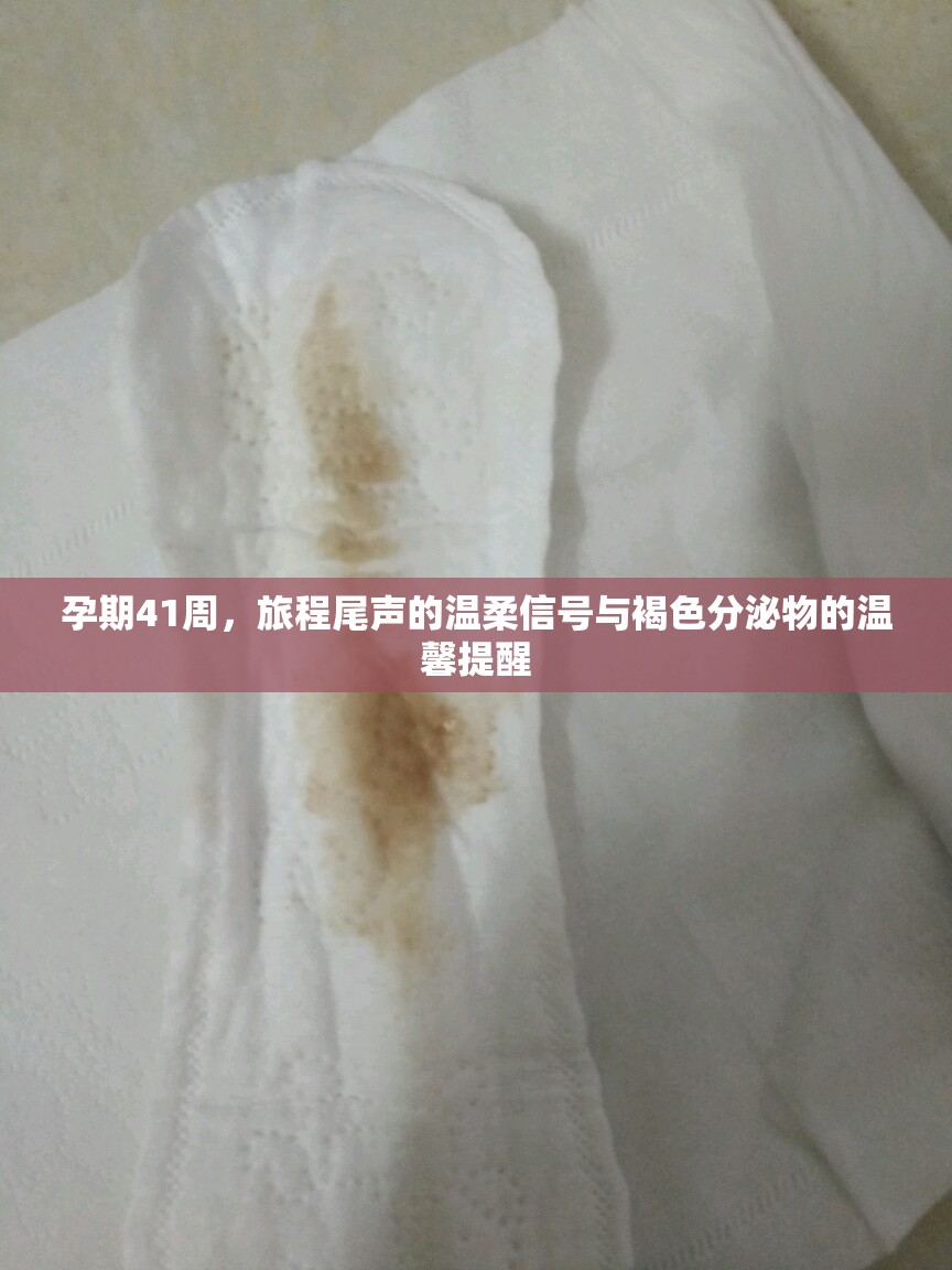 孕期41周，旅程尾聲的溫柔信號與褐色分泌物的溫馨提醒
