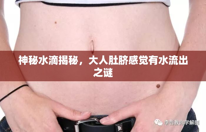 神秘水滴揭秘，大人肚臍感覺(jué)有水流出之謎